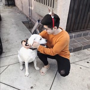 Meet your Posher, Raphael